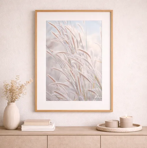 תמונה בוטנית "הקסם שבשקט" - The magic of silence