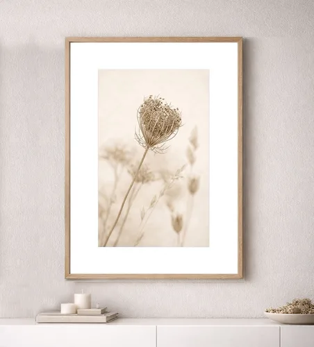 תמונה בוטנית - קולקציית הרמוניה - דגם 05